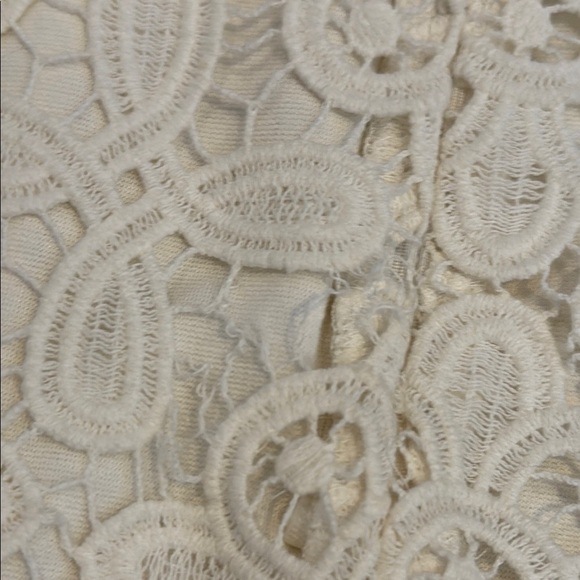 Intermix Large Elegant Cream Lace Overlay Skirt - Picture 4 of 10